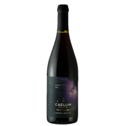 Caelum Gran Reserva Pinot Noir